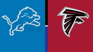 detroit lions vs atlanta falcons match player stats