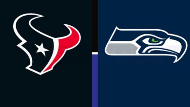 texans vs seahawks match player stats