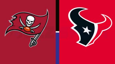 tampa bay buccaneers vs houston texans match player stats
