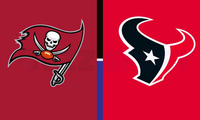 tampa bay buccaneers vs houston texans match player stats