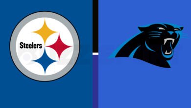 pittsburgh steelers vs carolina panthers match player stats