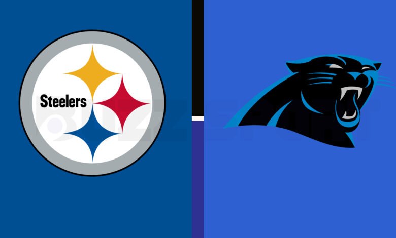 pittsburgh steelers vs carolina panthers match player stats