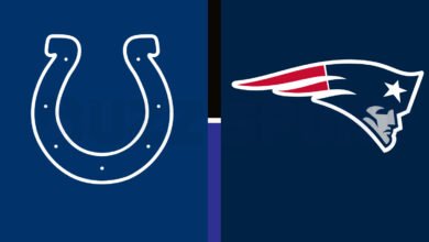 colts vs new england patriots match player stats