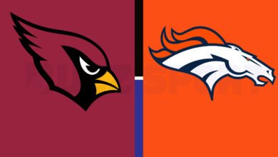 arizona cardinals vs denver broncos match player stats