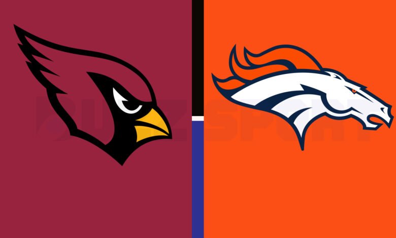 arizona cardinals vs denver broncos match player stats