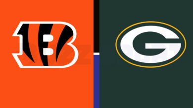 bengals vs green bay packers match player stats