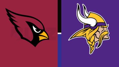 arizona cardinals vs minnesota vikings match player stats
