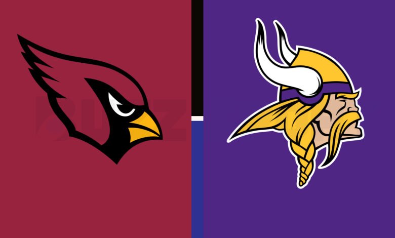 arizona cardinals vs minnesota vikings match player stats