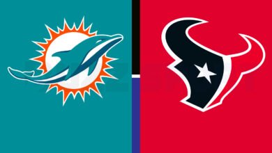 miami dolphins vs texans match player stats
