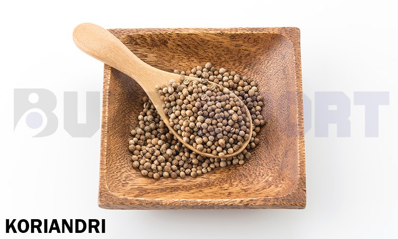 Koriandri