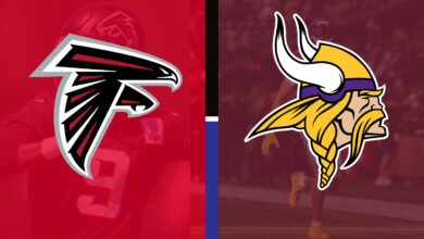 atlanta falcons vs minnesota vikings match player stats