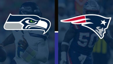 seattle seahawks vs new england patriots match player stats