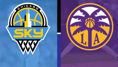 chicago sky vs los angeles sparks match player stats