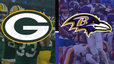 green bay packers vs baltimore ravens match player stats
