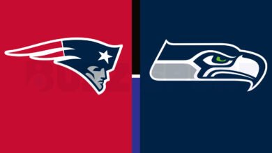 new-england-patriots vs seattle seahawks match player stats