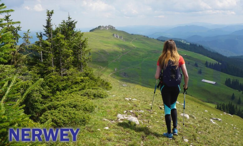 Nerwey
