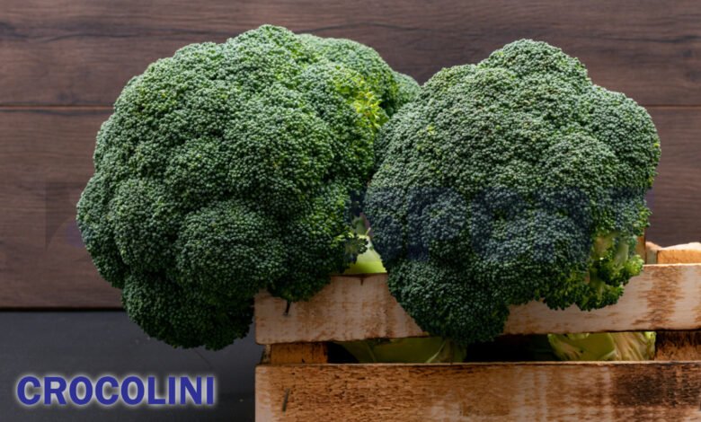 Crocolini