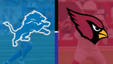 detroit lions vs arizona cardinals match player stats