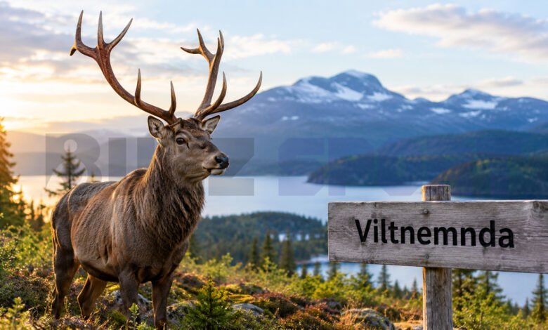 Viltnemnda