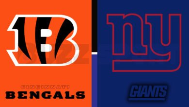 bengals vs new york giants match player stats