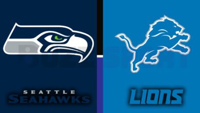 seahawks vs detroit lions match player stats