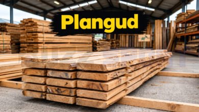 Plangud