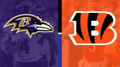 Baltimore Ravens vs Bengals Match Player Stats