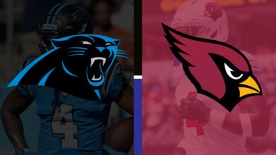 carolina panthers vs arizona cardinals match player stats