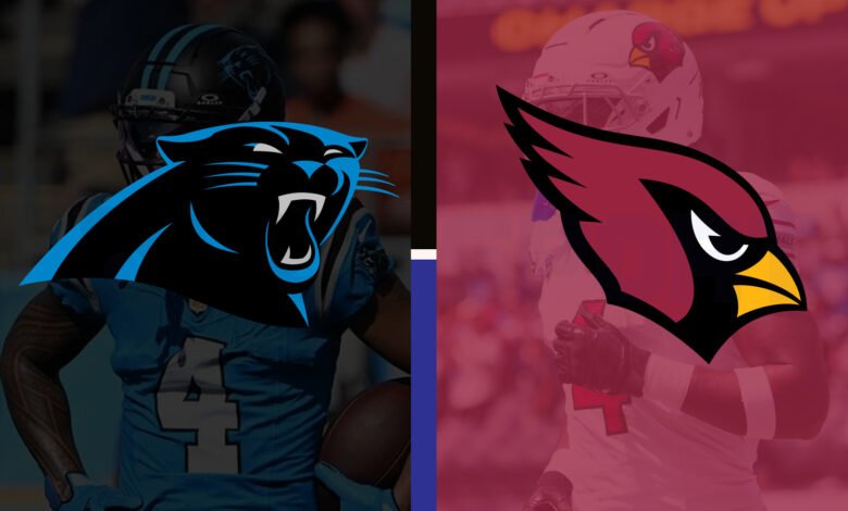 carolina panthers vs arizona cardinals match player stats