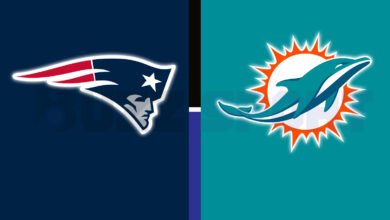 new england patriots vs miami dolphins match player stats