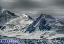 Sebelles.com