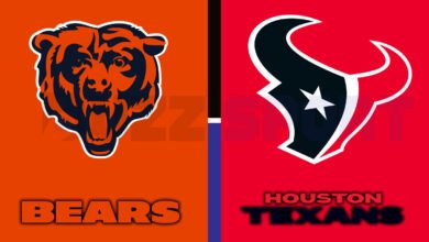 chicago bears vs houston texans match player stats
