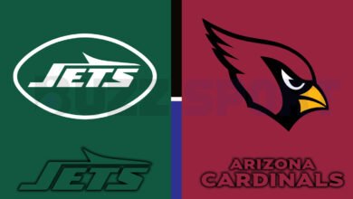 new york jets vs arizona cardinals match player stats