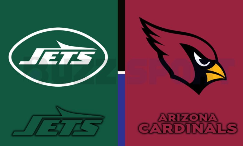 new york jets vs arizona cardinals match player stats