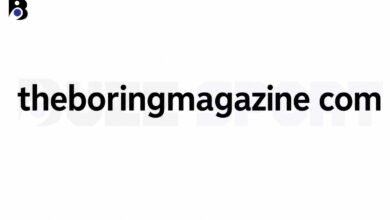 TheBoringMagazine com
