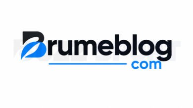 Brumeblog com