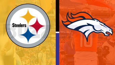 steelers vs denver broncos match player stats