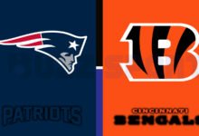 new england patriots vs bengals match player stats