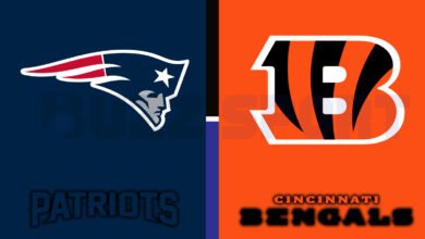 new england patriots vs bengals match player stats