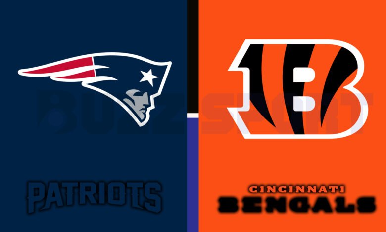 new england patriots vs bengals match player stats