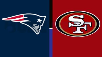 new england patriots vs 49ers match player stats